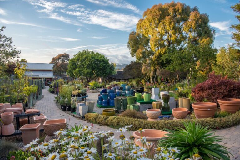 scottcampbellphoto 0066 1024x681 1