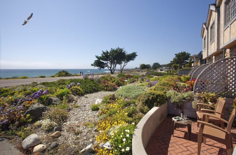 Pelican Suites