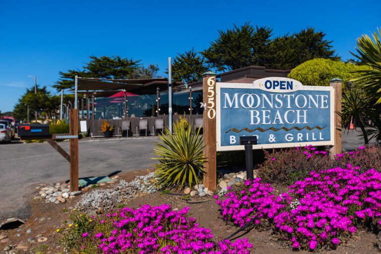 Restaurant sign next to flower bed, inviting guests to dine surrounded by beautiful blooms.