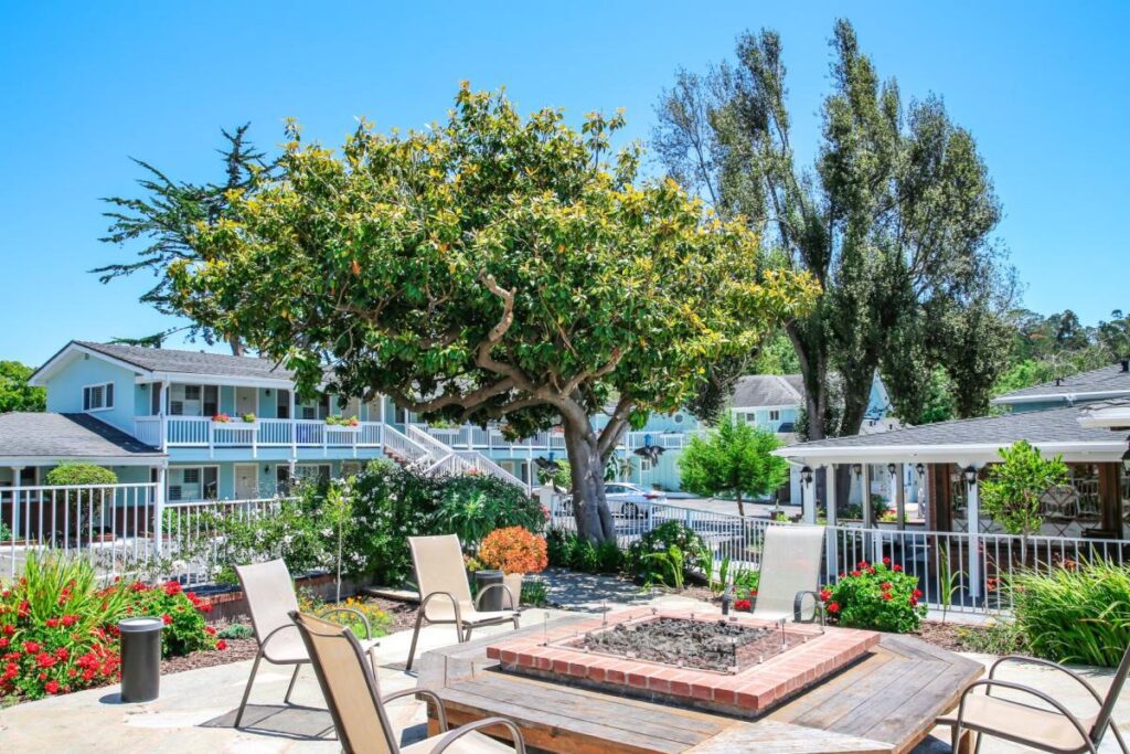 An outdoor fire pit set in a garden outside of Bluebird Inn.