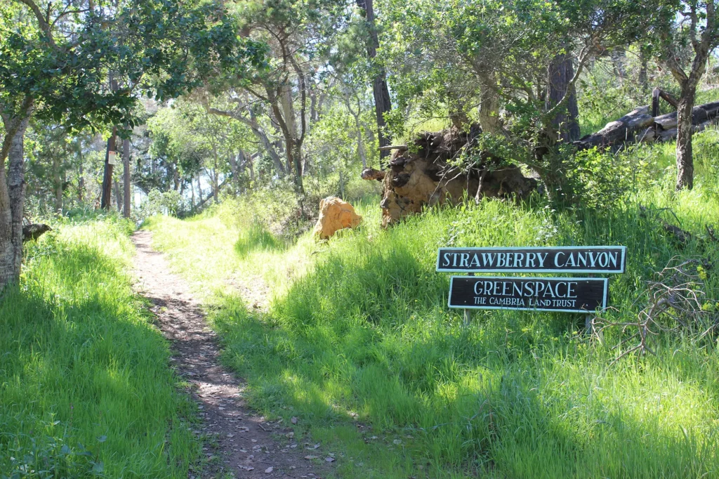 Strawberry Canyon Trail