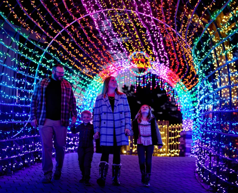 Holiday Happenings in Cambria