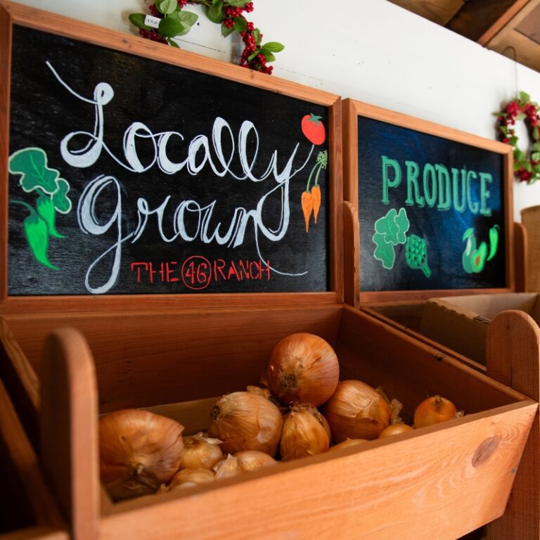 Farmers market produce